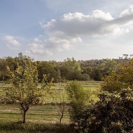 El Rebastral - Mas Vinyoles Natura Sant Pere de Torello Exterior photo